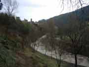 montone